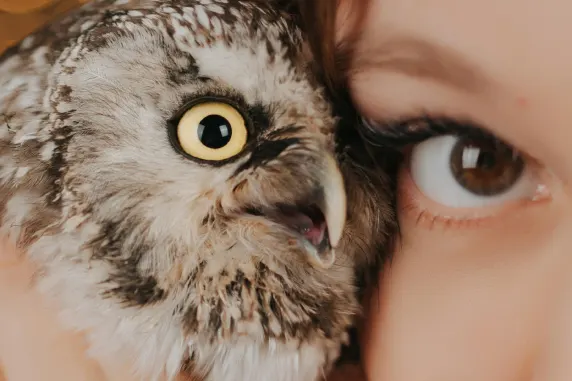 Casino Palace of Chance Soporte